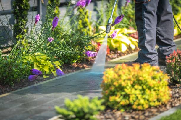 Reliable Carson, WA Pressure Washing Services Solutions